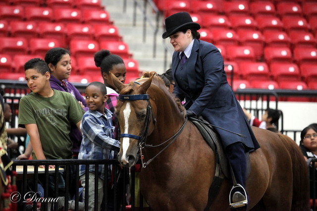 6th Annual Arabian Breeders World Cup - Cox Kids Day 