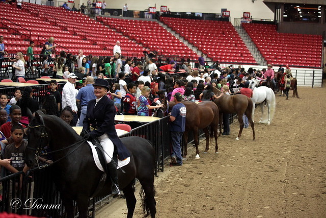6th Annual Arabian Breeders World Cup - Cox Kids Day 