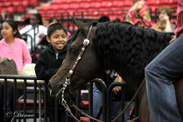 6th Annual Arabian Breeders World Cup - Cox Kids Day 