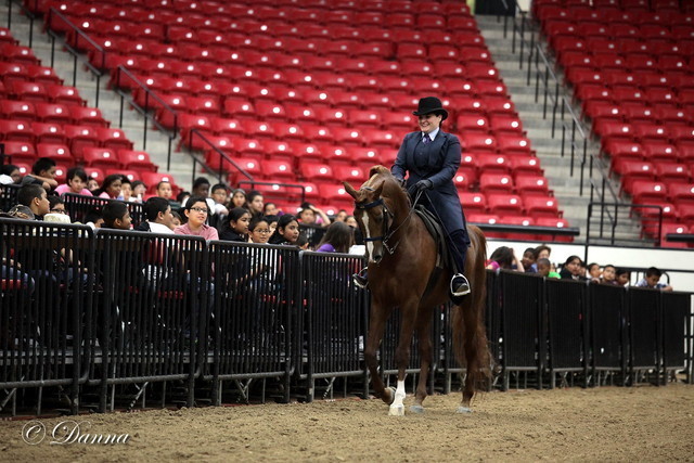 6th Annual Arabian Breeders World Cup - Cox Kids Day 