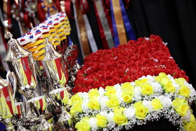 6th Annual Arabian Breeders World Cup - Cox Kids Day 