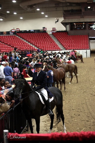 6th Annual Arabian Breeders World Cup - Cox Kids Day 