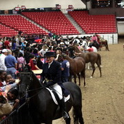 6th Annual Arabian Breeders World Cup - Cox Kids Day 