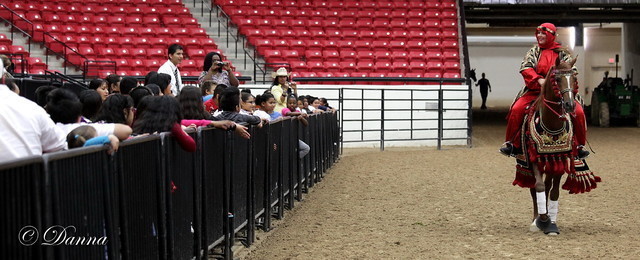 6th Annual Arabian Breeders World Cup - Cox Kids Day 