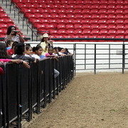 6th Annual Arabian Breeders World Cup - Cox Kids Day 