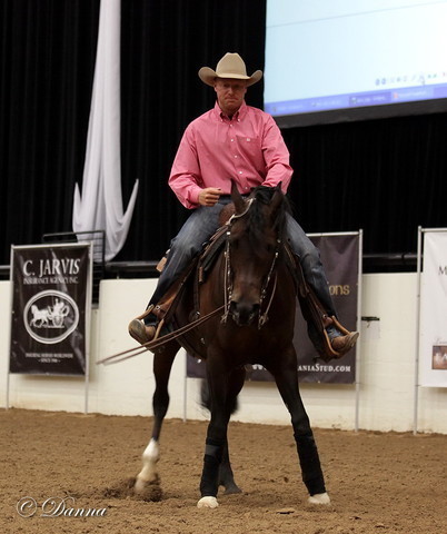6th Annual Arabian Breeders World Cup - Cox Kids Day 