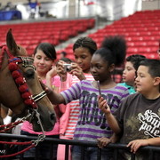 6th Annual Arabian Breeders World Cup - Cox Kids Day 