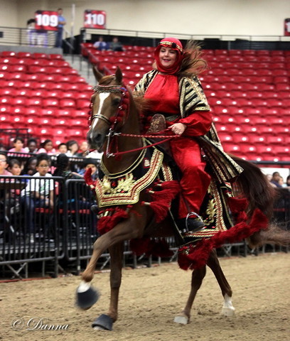 6th Annual Arabian Breeders World Cup - Cox Kids Day 
