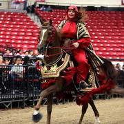 6th Annual Arabian Breeders World Cup - Cox Kids Day 