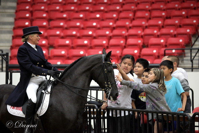 6th Annual Arabian Breeders World Cup - Cox Kids Day 
