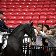 6th Annual Arabian Breeders World Cup - Cox Kids Day 