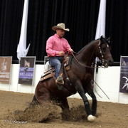 6th Annual Arabian Breeders World Cup - Cox Kids Day 