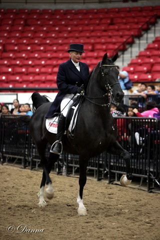 6th Annual Arabian Breeders World Cup - Cox Kids Day 