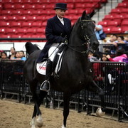 6th Annual Arabian Breeders World Cup - Cox Kids Day 