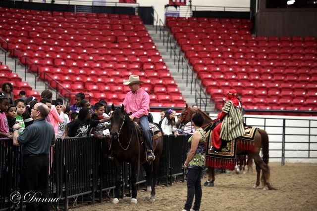 6th Annual Arabian Breeders World Cup - Cox Kids Day 