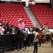 6th Annual Arabian Breeders World Cup - Cox Kids Day 