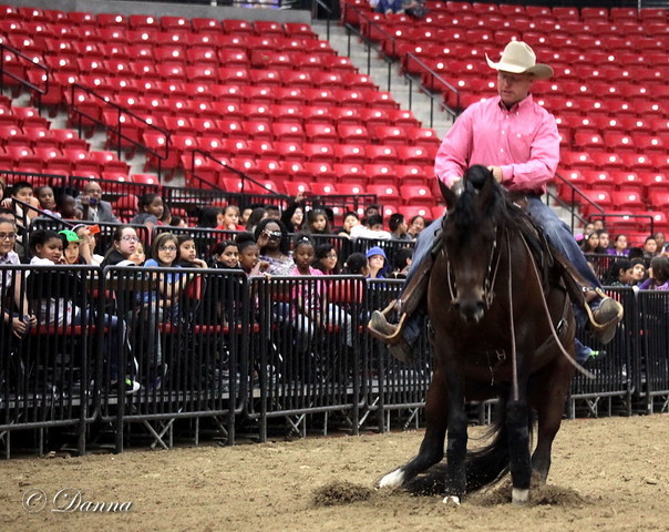 6th Annual Arabian Breeders World Cup - Cox Kids Day 