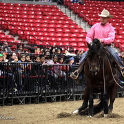 6th Annual Arabian Breeders World Cup - Cox Kids Day 