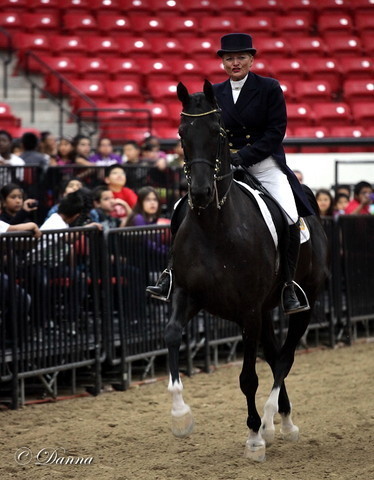 6th Annual Arabian Breeders World Cup - Cox Kids Day 