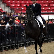 6th Annual Arabian Breeders World Cup - Cox Kids Day 