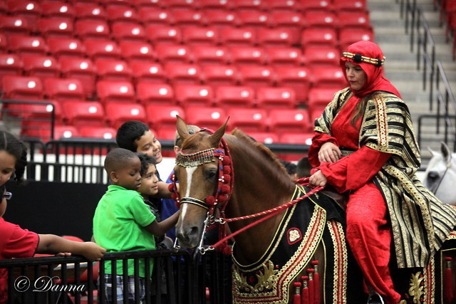 6th Annual Arabian Breeders World Cup - Cox Kids Day 