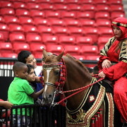 6th Annual Arabian Breeders World Cup - Cox Kids Day 