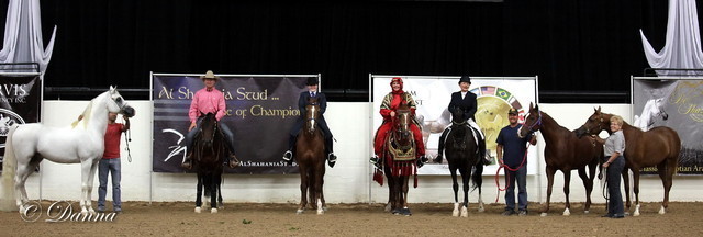 6th Annual Arabian Breeders World Cup - Cox Kids Day 