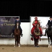 6th Annual Arabian Breeders World Cup - Cox Kids Day 