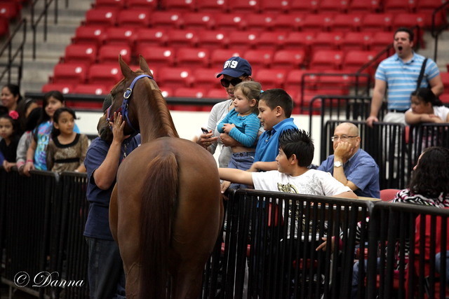 6th Annual Arabian Breeders World Cup - Cox Kids Day 
