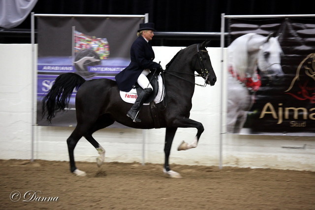 6th Annual Arabian Breeders World Cup - Cox Kids Day 