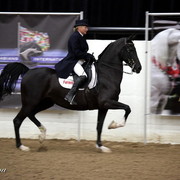 6th Annual Arabian Breeders World Cup - Cox Kids Day 