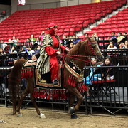 6th Annual Arabian Breeders World Cup - Cox Kids Day 