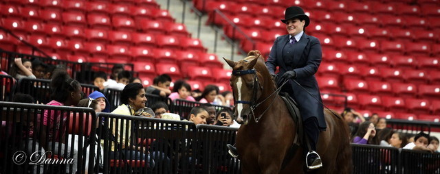 6th Annual Arabian Breeders World Cup - Cox Kids Day 