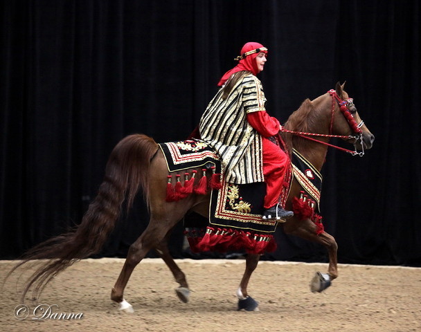 6th Annual Arabian Breeders World Cup - Cox Kids Day 