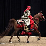 6th Annual Arabian Breeders World Cup - Cox Kids Day 