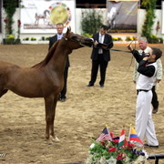6th Annual Arabian Breeders World Cup 2012