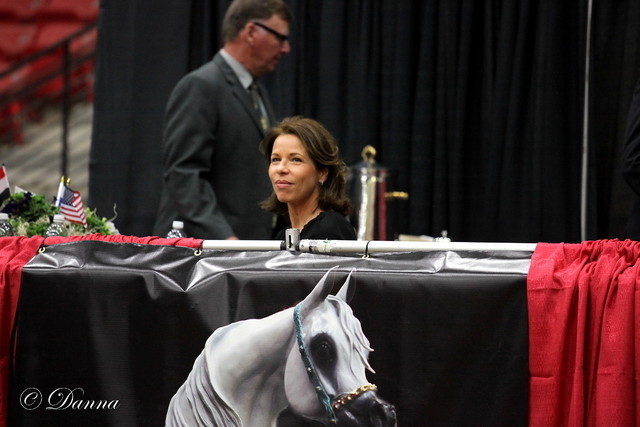 6th Annual Arabian Breeders World Cup 2012