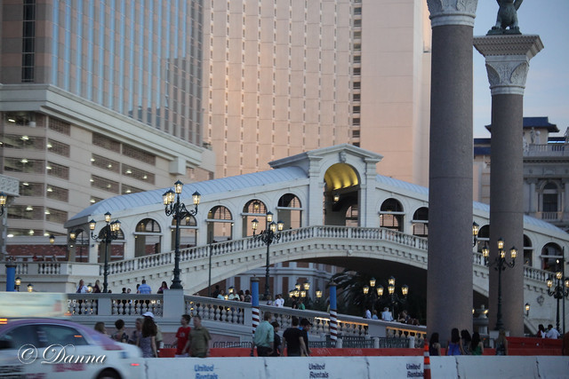 6th Annual Arabian Breeders World Cup 2012