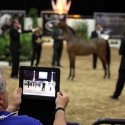 6th Annual Arabian Breeders World Cup 2012