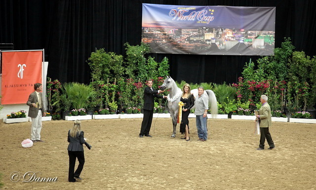 6th Annual Arabian Breeders World Cup 2012