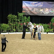 6th Annual Arabian Breeders World Cup 2012