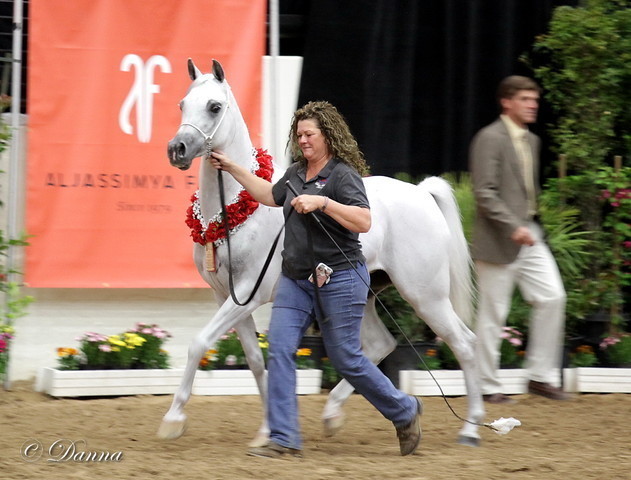 6th Annual Arabian Breeders World Cup 2012