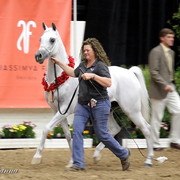 6th Annual Arabian Breeders World Cup 2012