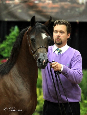 6th Annual Arabian Breeders World Cup 2012
