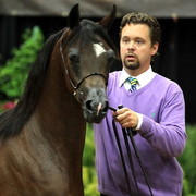 6th Annual Arabian Breeders World Cup 2012