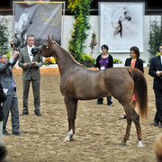 Arabian Breeders World Cup by Kelly Campbell