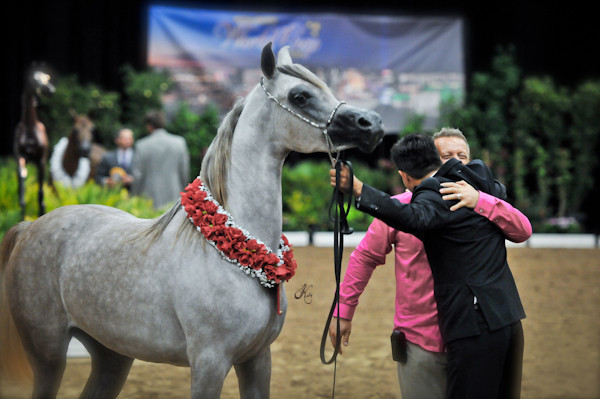 Arabian Breeders World Cup by Kelly Campbell