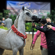 Arabian Breeders World Cup by Kelly Campbell