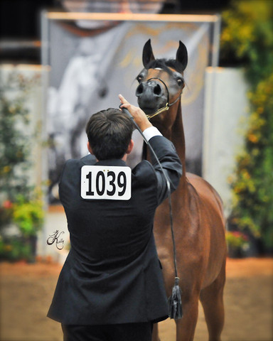 Arabian Breeders World Cup by Kelly Campbell