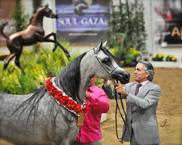 Arabian Breeders World Cup by Kelly Campbell